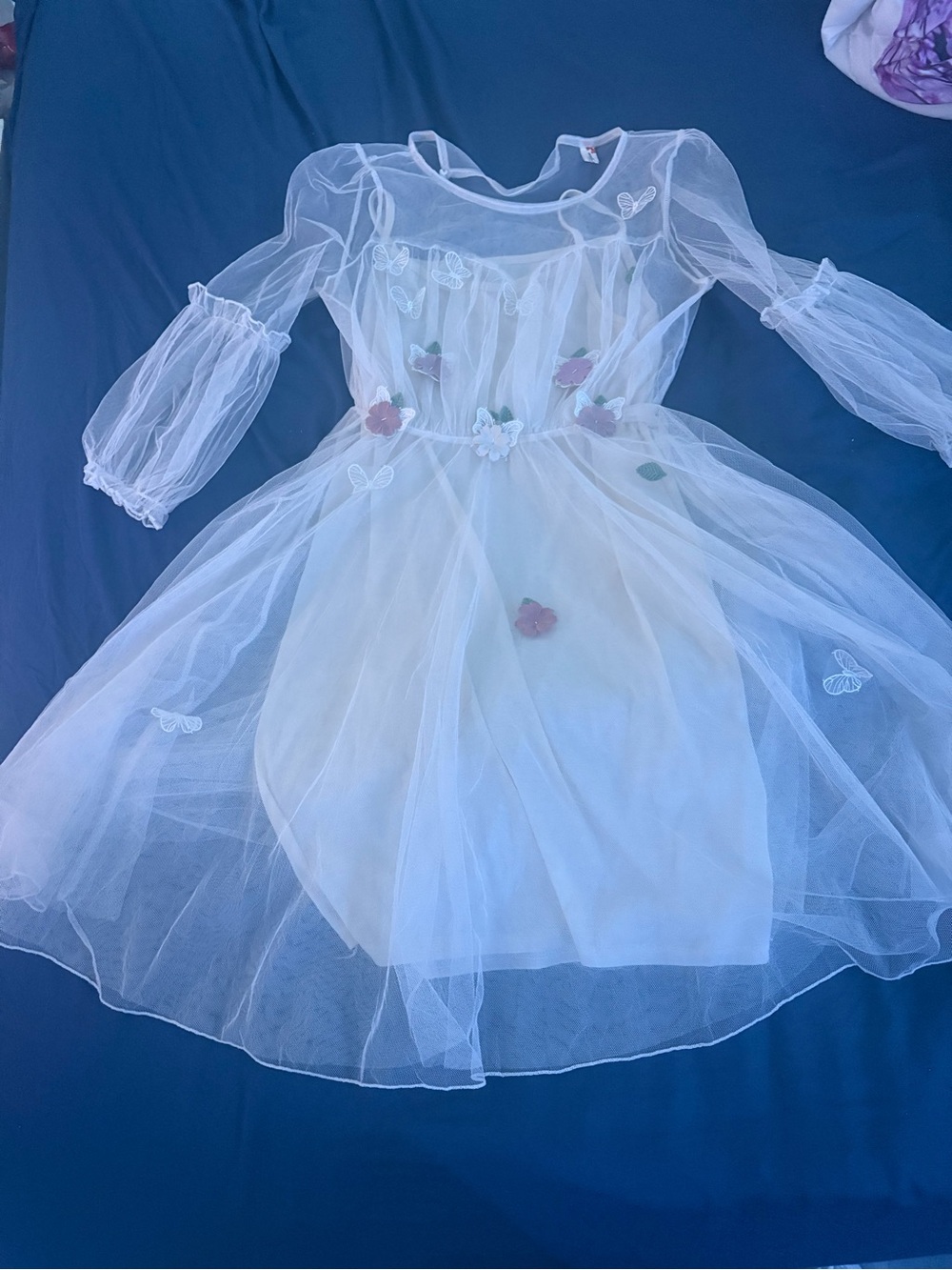 Sheer Floral Embroidered Tulle Dress - Ivory with Pink Accents